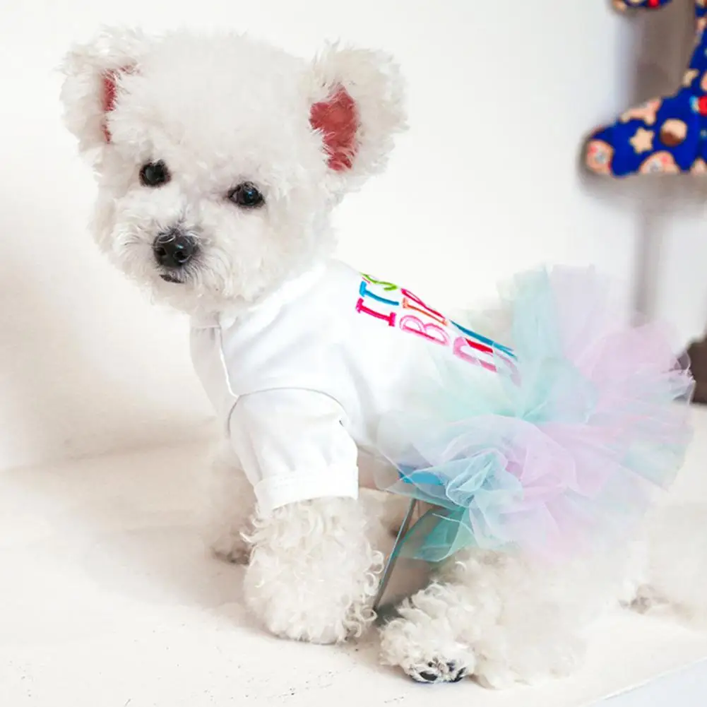 Stylish Dog Ballet Dress Round Neck Decorative Two-legged Letter Printing Pet Puppy Dog Birthday Tulle Dress
Stylish Dog Ballet Dress Round Neck Decorative Two-legged Letter Printing Pet Puppy Dog Birthday Tulle Dress