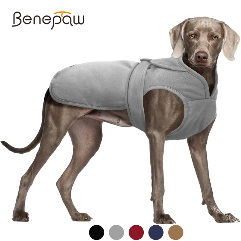 Benepaw/пальто для собак в холодную погоду зимняя Удобная теплая флисовая куртка для собак ветрозащитный жилет-одежда для собак для маленьких средних и больших собак
Benepaw/пальто для собак в холодную погоду зимняя Удобная теплая флисовая куртка для собак ветрозащитный жилет-одежда для собак для маленьких средних и больших собак