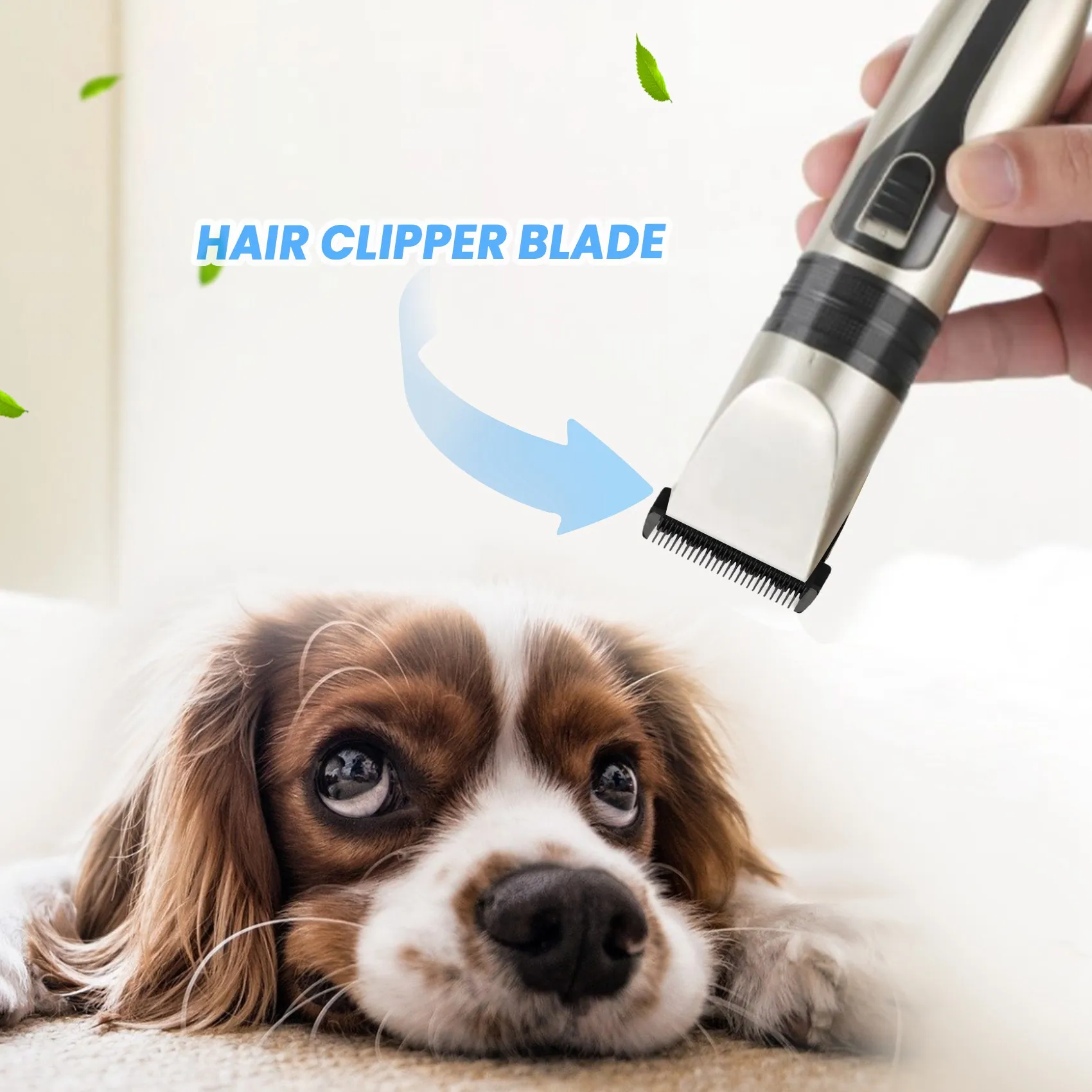 High Quality Black Ceramic Titanium Knife Pet Dog Hair Trimmer Blade Clipper Head for BaoRun P2 P3 P6 P9 S1 LILI ZP-295 ZP-293 4
High Quality Black Ceramic Titanium Knife Pet Dog Hair Trimmer Blade Clipper Head for BaoRun P2 P3 P6 P9 S1 LILI ZP-295 ZP-293 4