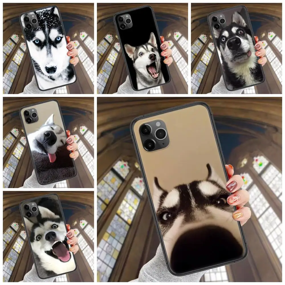 For iPhone 13 12 11 Pro Max 6 X 8 6S 7 Plus XS XR Mini 5S SE 7P 6P Black Prime Trend Back Luxury Siberian Husky Dog Less
For iPhone 13 12 11 Pro Max 6 X 8 6S 7 Plus XS XR Mini 5S SE 7P 6P Black Prime Trend Back Luxury Siberian Husky Dog Less