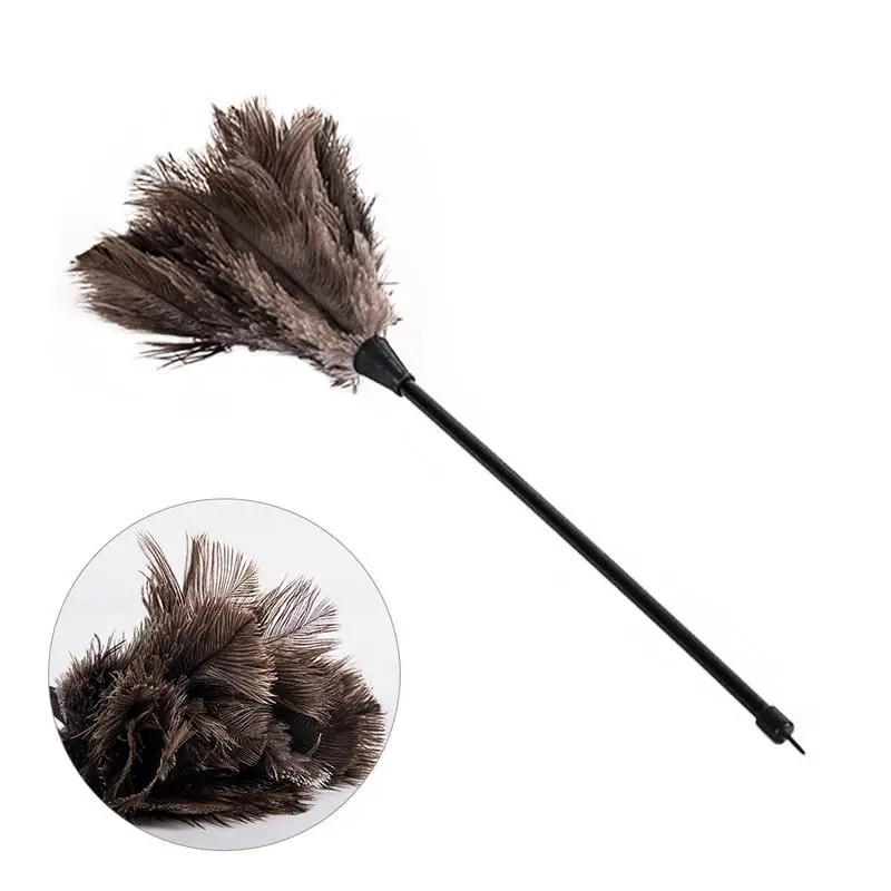 Ostrich Feather Dusters Mini Dust Duster Ostrich Soft Delicate Comfortable Touch Feather Duster SW
Ostrich Feather Dusters Mini Dust Duster Ostrich Soft Delicate Comfortable Touch Feather Duster SW