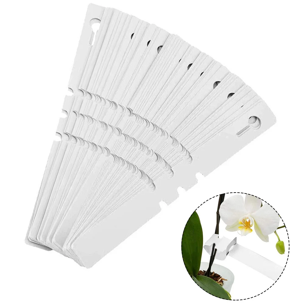 Tags Plant Labels Tray Vegetable Waterproof White Flower Home Marker Nursey PVC Plastic Plate Garden High Quality
Tags Plant Labels Tray Vegetable Waterproof White Flower Home Marker Nursey PVC Plastic Plate Garden High Quality