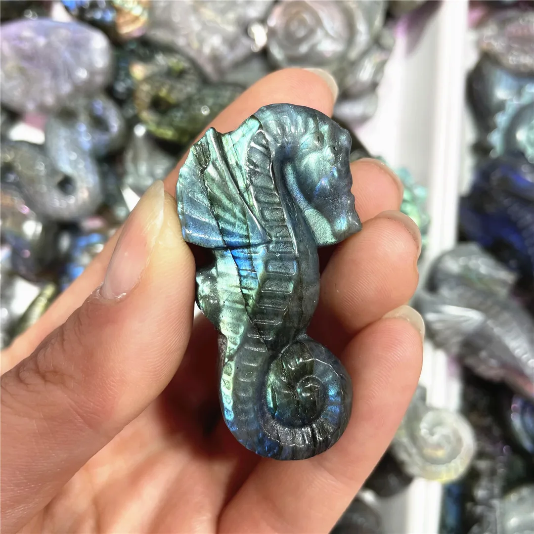 Natural Labradorite Crystal Quartz Carving Sea Horse Animal Figurines Crafts Cute Hippocampus Ornament Stone Products Gift Sell
Natural Labradorite Crystal Quartz Carving Sea Horse Animal Figurines Crafts Cute Hippocampus Ornament Stone Products Gift Sell