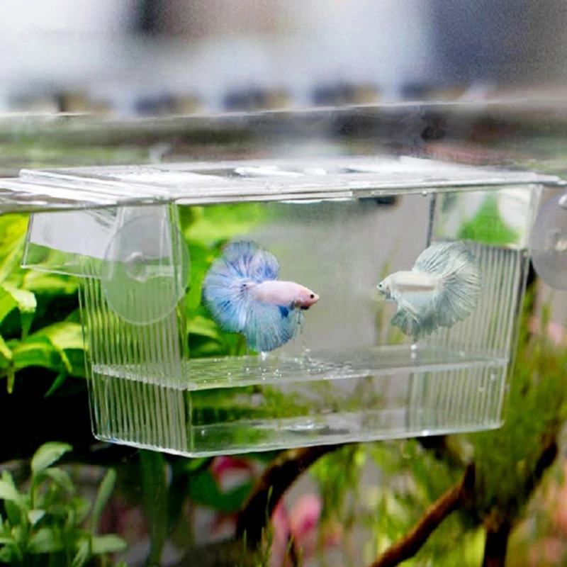 Transparent Acrylic Fish Tank Breeding Isolation Box Aquarium Hatchery Incubator Holder Aquarium Accessories Fish Supplies 
Transparent Acrylic Fish Tank Breeding Isolation Box Aquarium Hatchery Incubator Holder Aquarium Accessories Fish Supplies