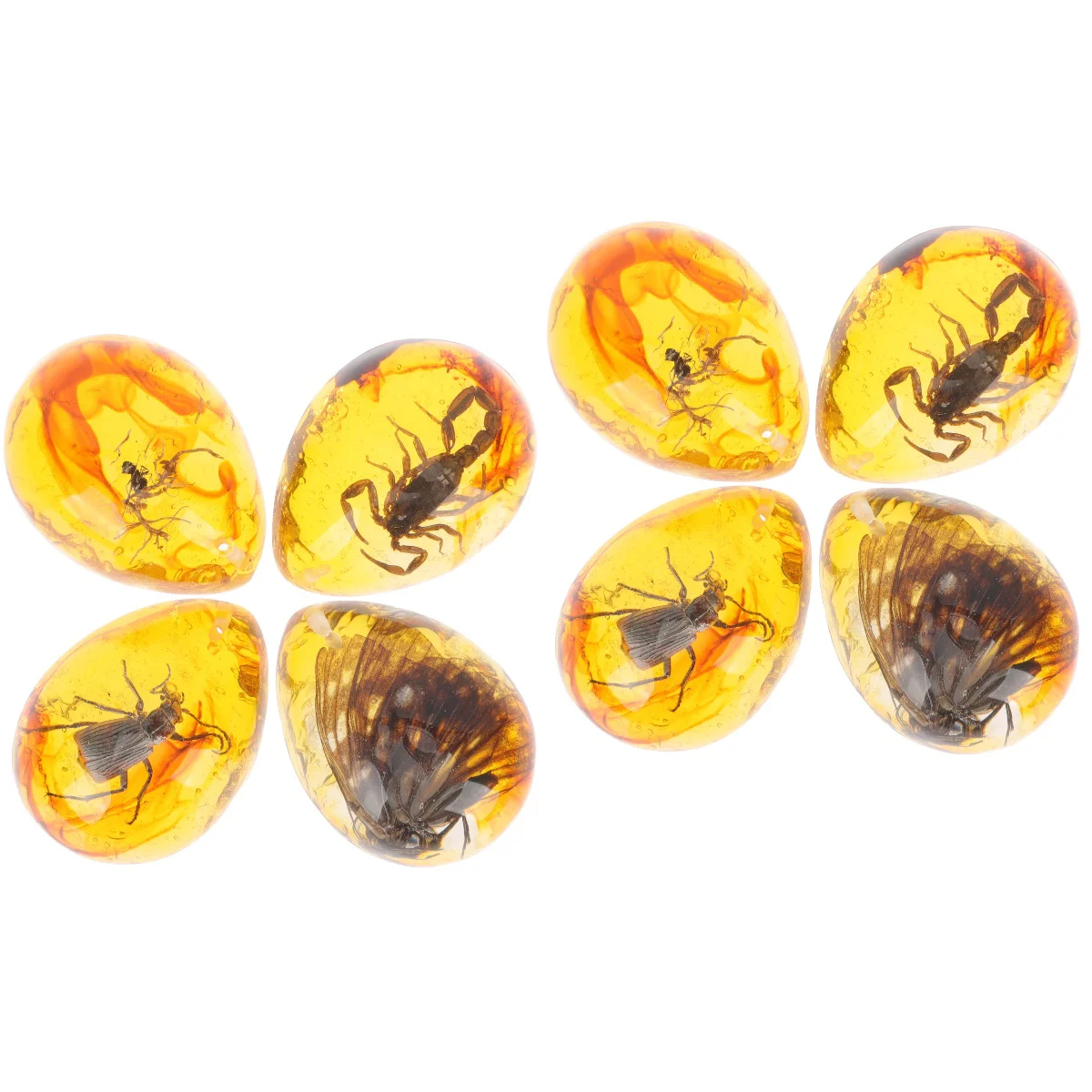 

Insect Amber Specimen DIY Resin Insects Pendant Bug Charms Crafts Pendants Necklaces