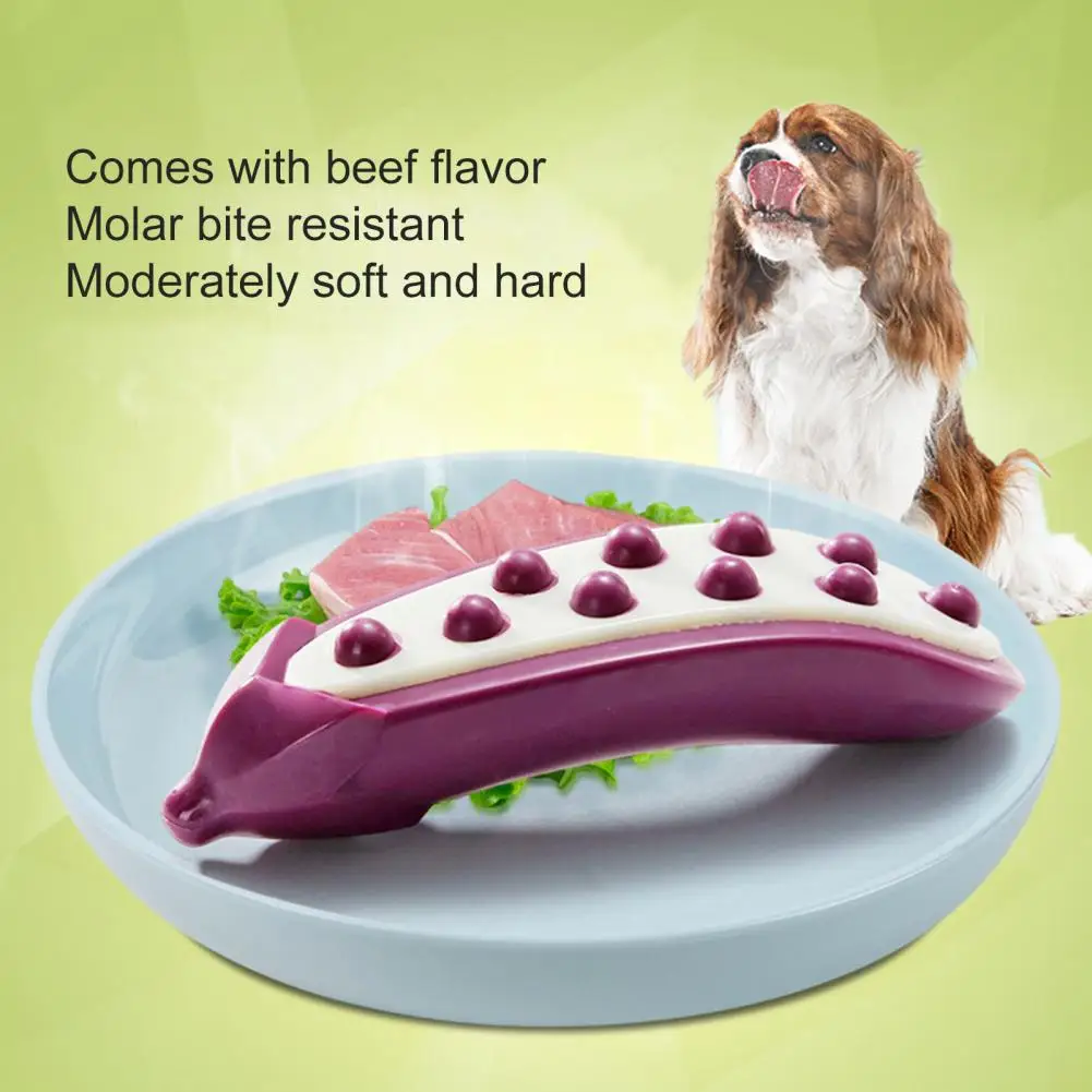 Bite-resistant Safe Eggplant Appearance Pet Toy Portable Pet Toy Raised Surface for Puppies
Bite-resistant Safe Eggplant Appearance Pet Toy Portable Pet Toy Raised Surface for Puppies