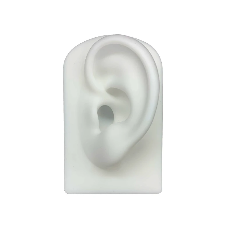 Silicone Ear Model Reused Ear Displays Mould 1:1 Professional Piercings Practice Tools for Earrings Ear Studs Stand
Silicone Ear Model Reused Ear Displays Mould 1:1 Professional Piercings Practice Tools for Earrings Ear Studs Stand