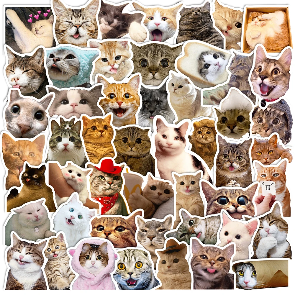 10/30/50PCS Funny Cat Meme Stickers Animal Decals Car Guitar Motorcycle Luggage Suitcase DIY Classic Toy Cute Sticker Decals
10/30/50PCS Funny Cat Meme Stickers Animal Decals Car Guitar Motorcycle Luggage Suitcase DIY Classic Toy Cute Sticker Decals