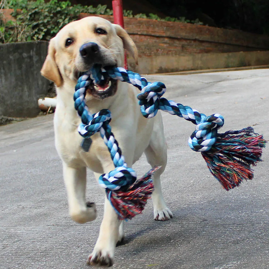 Pet Dog Biting Chewing ToyKnot Rope Interactive Chew Teething Clean Toy Tooth Cleaning Training Tool
Pet Dog Biting Chewing ToyKnot Rope Interactive Chew Teething Clean Toy Tooth Cleaning Training Tool