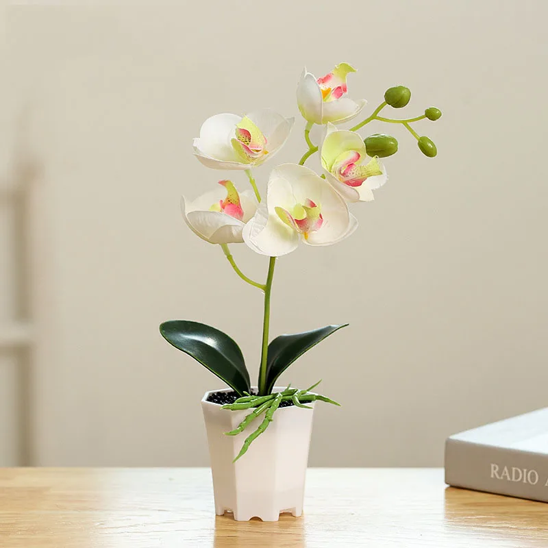 New Plastic Flower Pot Five-flowered Phalaenopsis Bonsai Simulation Plant Creative Decoration Artificial Fake Flower 
New Plastic Flower Pot Five-flowered Phalaenopsis Bonsai Simulation Plant Creative Decoration Artificial Fake Flower