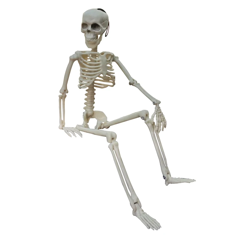 Halloween Skull Skeleton Spoof Active Human Plastic Body Skeleton Halloween Party Decoration Skull Ghost Home Laboratory Model
Halloween Skull Skeleton Spoof Active Human Plastic Body Skeleton Halloween Party Decoration Skull Ghost Home Laboratory Model