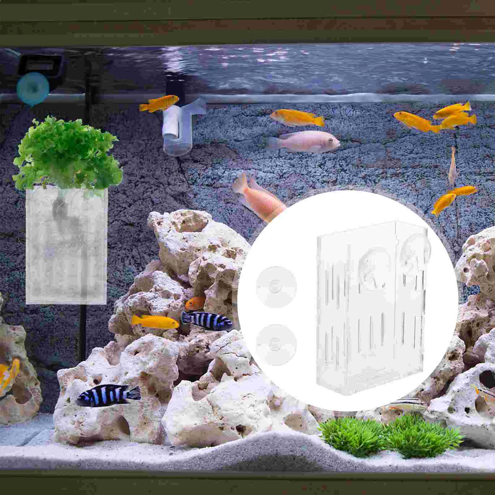 Aquatic Aquarium Holder Tank Pot Fish Cup Coral Plantersupport Frame Mini Rack Clear Cover Clip Bracket Suction Pots Coop Shelf
Aquatic Aquarium Holder Tank Pot Fish Cup Coral Plantersupport Frame Mini Rack Clear Cover Clip Bracket Suction Pots Coop Shelf