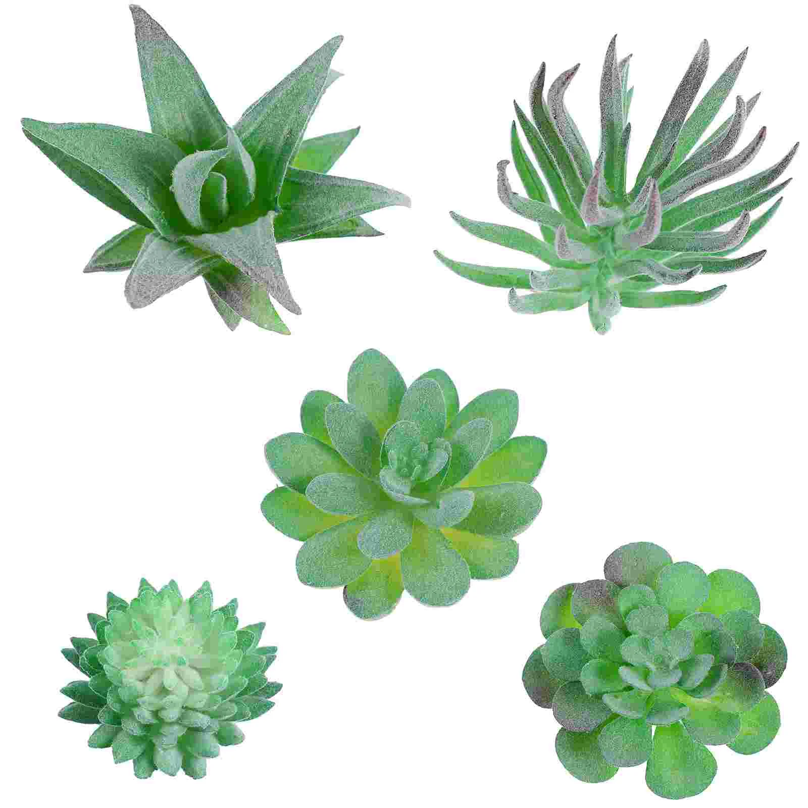 5PCS Decorative Plants Succulents Plants Artificial Plants Plants Artificial Succulents Set
5PCS Decorative Plants Succulents Plants Artificial Plants Plants Artificial Succulents Set