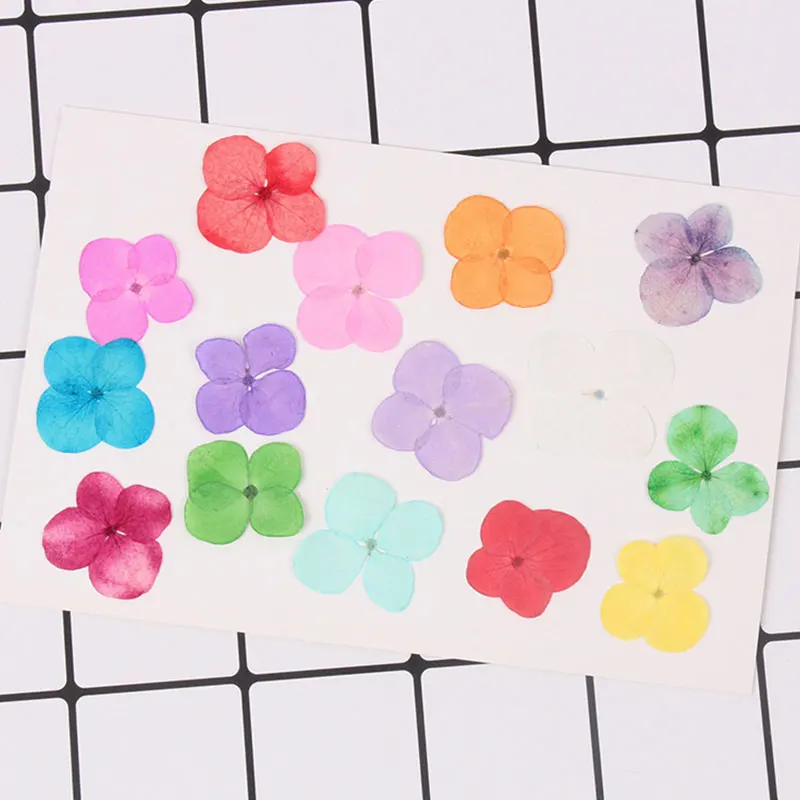 120/500pcs Hydrangea Dried Flower Pressed Embossed Herbarium Dried Flower Phone Case Jewelry Bookmark Natural Dried Flower Decor
120/500pcs Hydrangea Dried Flower Pressed Embossed Herbarium Dried Flower Phone Case Jewelry Bookmark Natural Dried Flower Decor