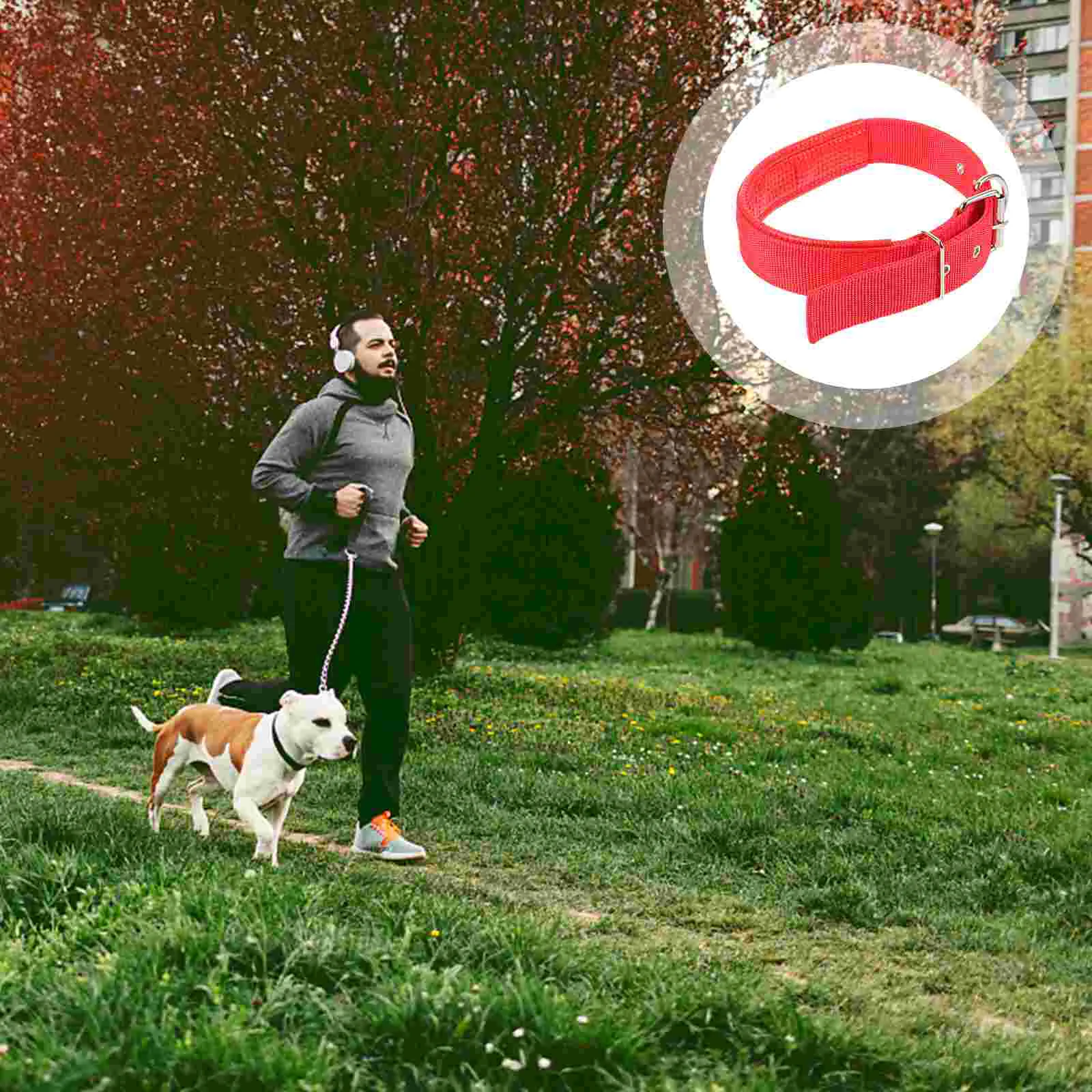 Supple Dog Collar Heavy Duty Puppy Collar Adjustable Collar for Dog Nylon Collar for Large Dogs 
Supple Dog Collar Heavy Duty Puppy Collar Adjustable Collar for Dog Nylon Collar for Large Dogs