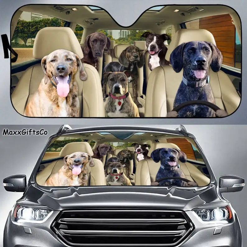 Plott Hound Car Sun Shade, Plott Hound Windshield, Dogs Family Sunshade, Dogs Car Accessories, Car Decoration, Dogs Lovers Gift
Plott Hound Car Sun Shade, Plott Hound Windshield, Dogs Family Sunshade, Dogs Car Accessories, Car Decoration, Dogs Lovers Gift