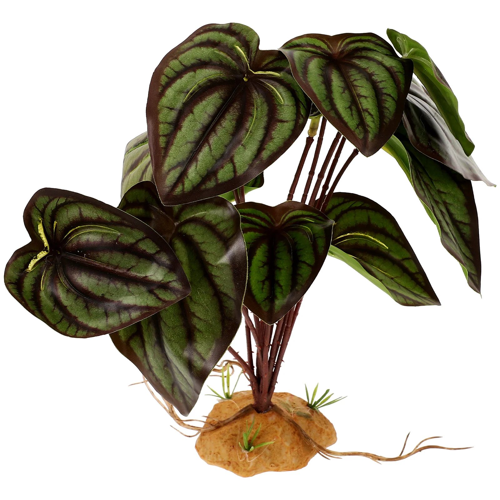 Green Plants Reptile Fake Adornment Simulation Decor Aquarium Landscaping Ornament
Green Plants Reptile Fake Adornment Simulation Decor Aquarium Landscaping Ornament