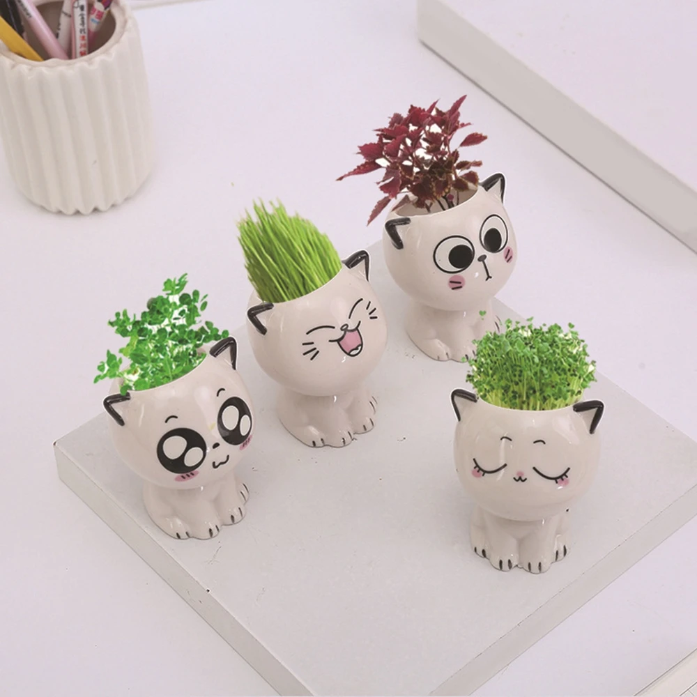 Ceramic Flowerpot Mini Cat Shaped Cartoon Cute Potted Plant Desktop Potted Expression Cat Plant Pot Desk Decorate Small Ornament
Ceramic Flowerpot Mini Cat Shaped Cartoon Cute Potted Plant Desktop Potted Expression Cat Plant Pot Desk Decorate Small Ornament
