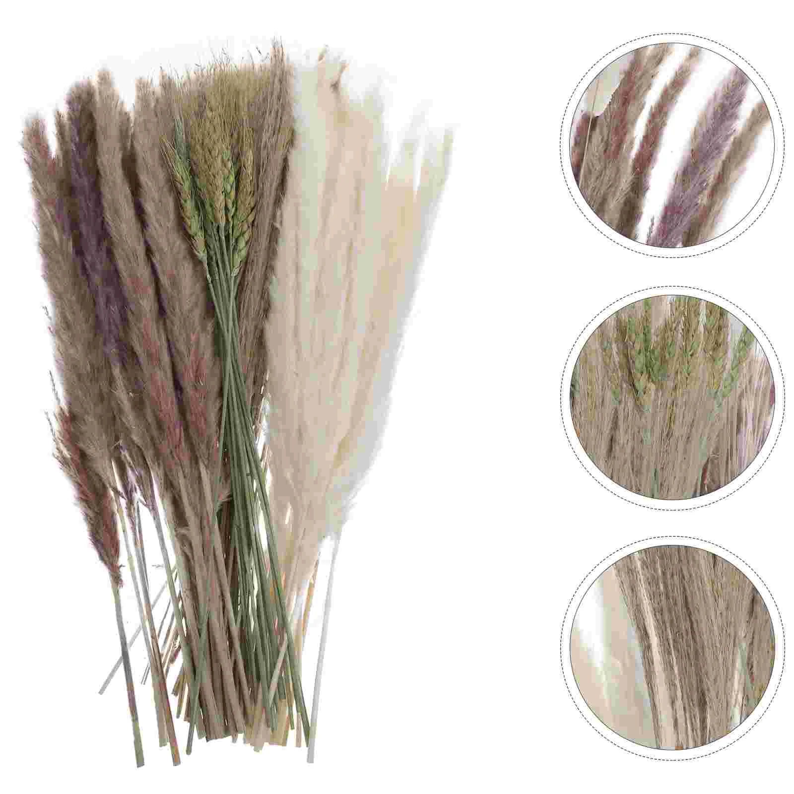 1 Box Dried Flower Bouquet Dry Grass Pampas Grass Dried Floral Arrangement DIY Dried Reed Grass
1 Box Dried Flower Bouquet Dry Grass Pampas Grass Dried Floral Arrangement DIY Dried Reed Grass