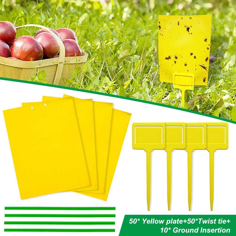 Fly Traps for Indoor Outdoor Flying Plant Insect Like Gnats Insect Aphids Strong Glue Dual-Sided Sticky Accessories
Fly Traps for Indoor Outdoor Flying Plant Insect Like Gnats Insect Aphids Strong Glue Dual-Sided Sticky Accessories