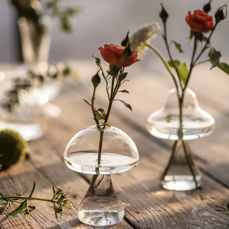 Mushroom Shaped Glass Vase Hydroponics Plant Vase Creative Glass Crafts Decor for Home Living Room Glass Vase Plant Flower Pots
Mushroom Shaped Glass Vase Hydroponics Plant Vase Creative Glass Crafts Decor for Home Living Room Glass Vase Plant Flower Pots