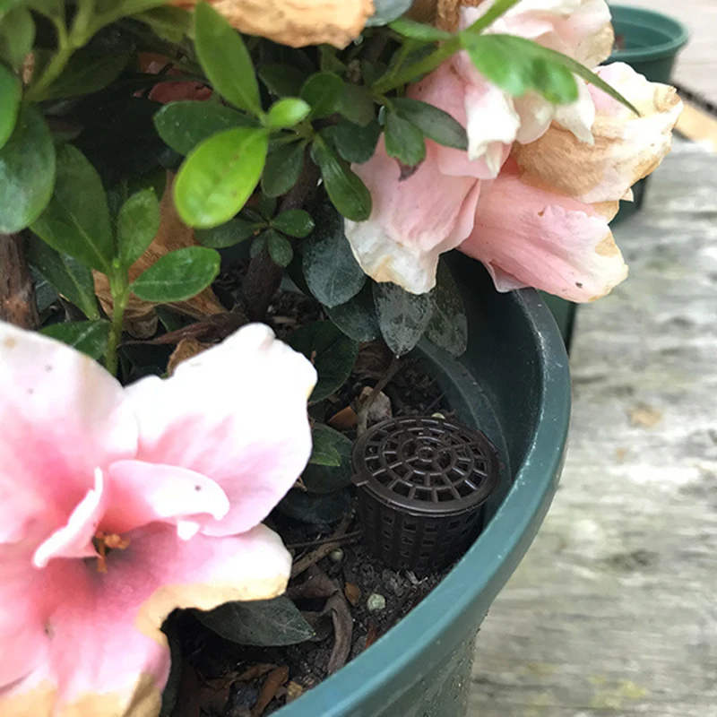 100pcs Fertilizer Box Compost Basket Garden Bonsai Dome Case Plastic Large Small Flowers Plant Portable Nursery Pots
100pcs Fertilizer Box Compost Basket Garden Bonsai Dome Case Plastic Large Small Flowers Plant Portable Nursery Pots