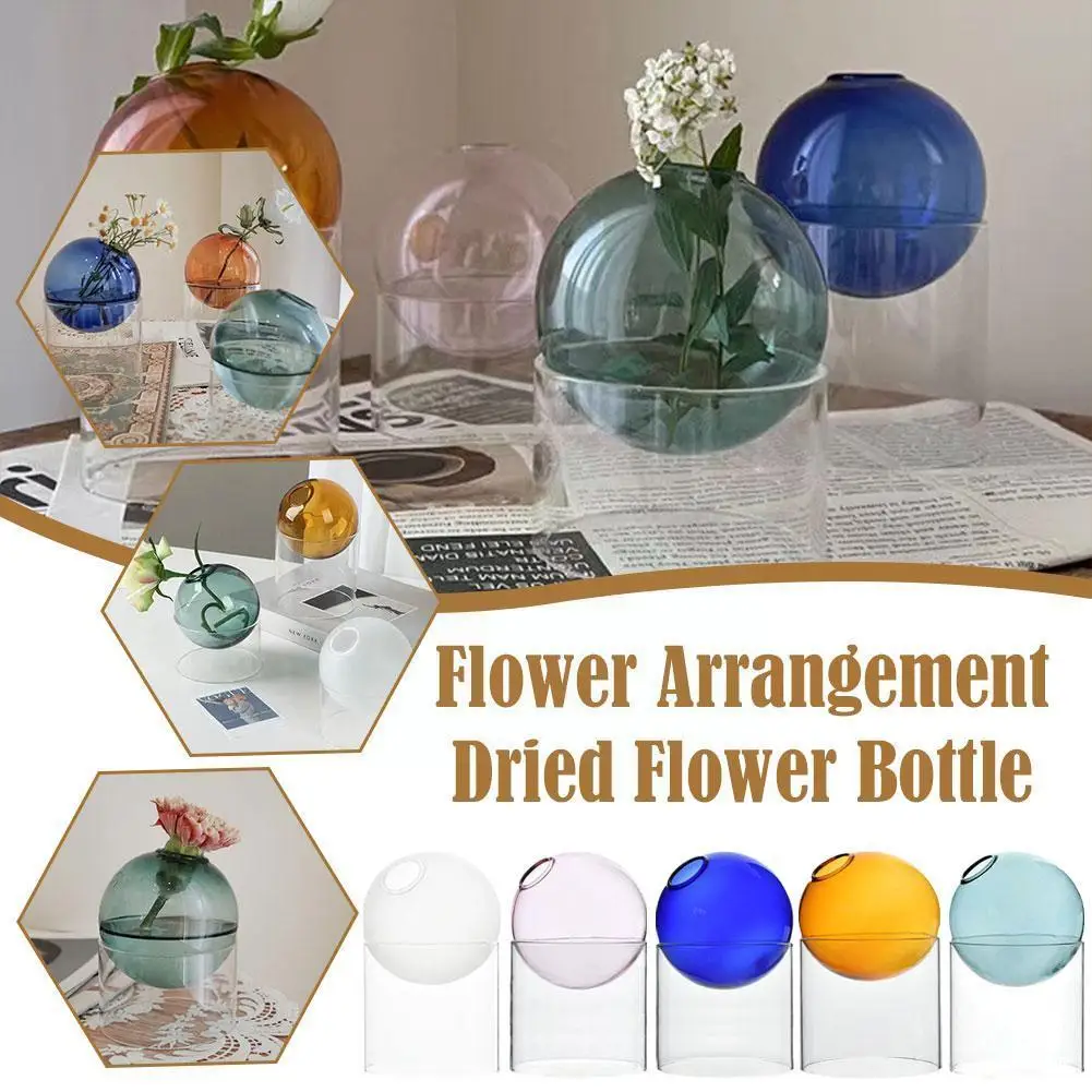 Aquatic Colored Circular Vase Living Room Flower Art Decoration Flower Hydroponic Spherical Vase Tabletop Vase Vase Dry Nor B4m1
Aquatic Colored Circular Vase Living Room Flower Art Decoration Flower Hydroponic Spherical Vase Tabletop Vase Vase Dry Nor B4m1