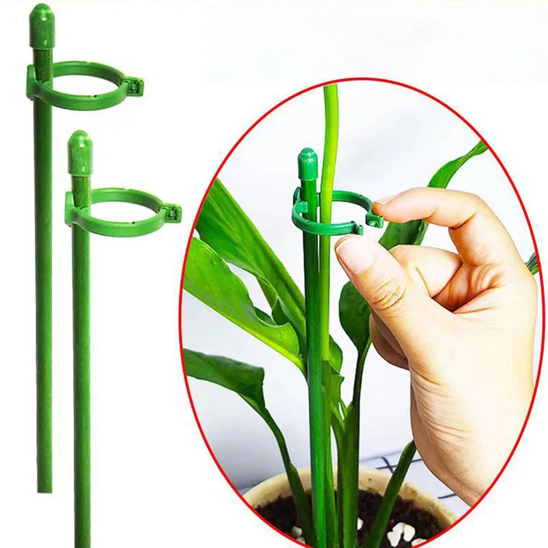 

5/10pcs plant Flower Potted Support stand Holder Stake Stander Fixing Tool Gardening Supplies Shrub for Orchid Bonsai Daisy s1