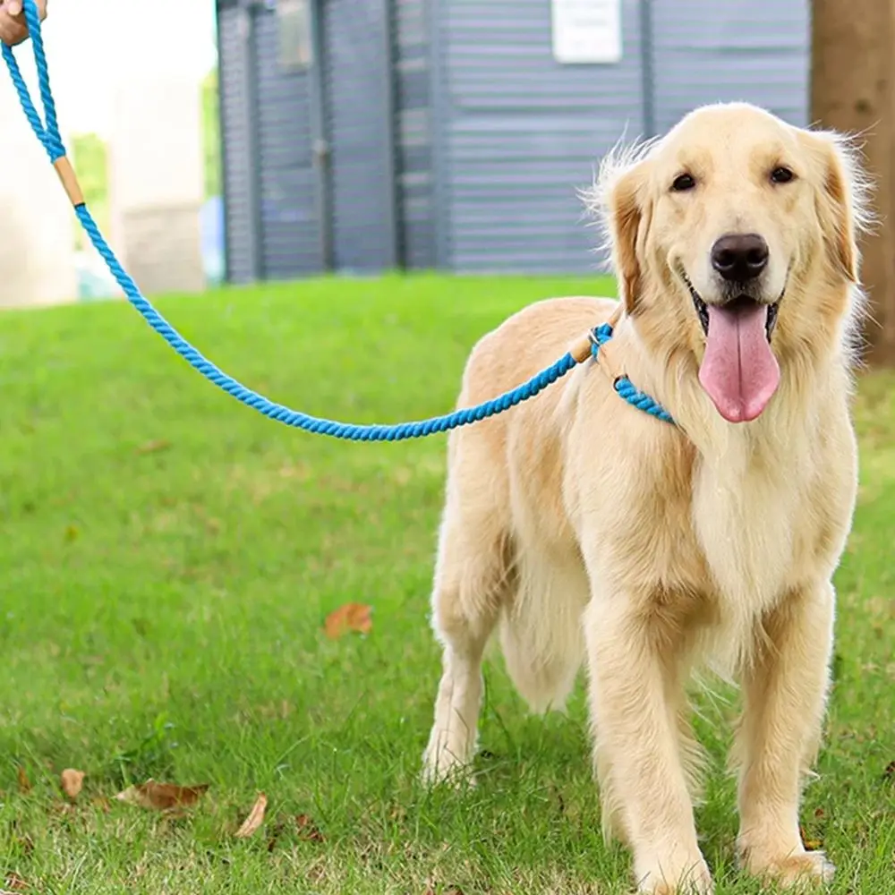 Lead Harness Large Medium Dog Puppy Accessories Dogs Leashes Puppy Leash Rope Traction Collar Pet Collar Pet Products
Lead Harness Large Medium Dog Puppy Accessories Dogs Leashes Puppy Leash Rope Traction Collar Pet Collar Pet Products