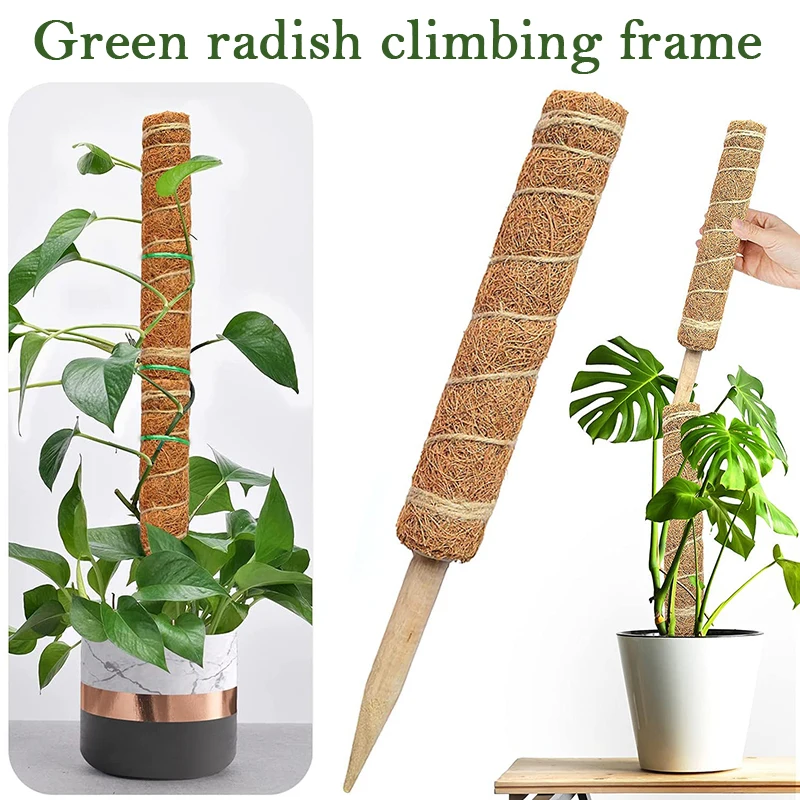 Reusable Plant Climbing Stand Durable Flower Plants Support for Balcony Garden Plant Climbing Stand nerg
Reusable Plant Climbing Stand Durable Flower Plants Support for Balcony Garden Plant Climbing Stand nerg