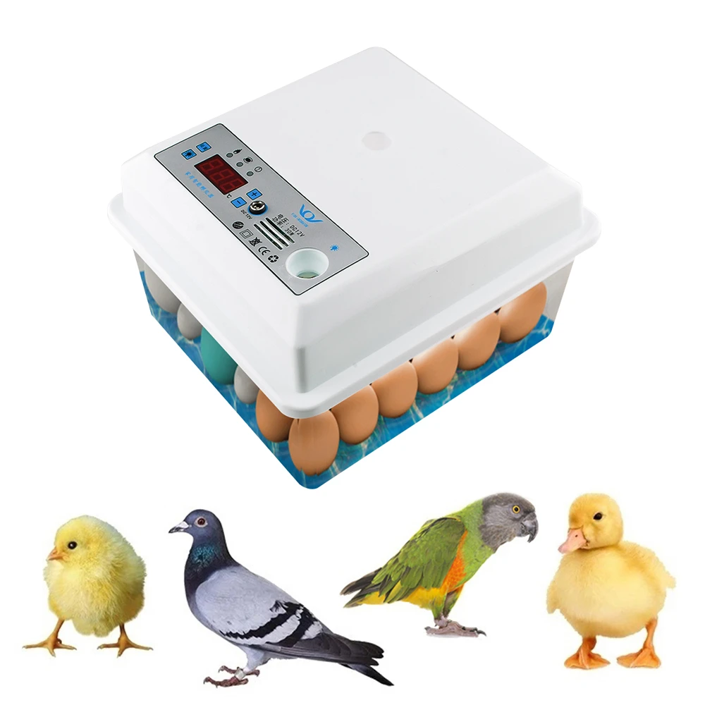 20 Eggs Incubator Brooder Bird Quail Chick Hatchery Incubator Poultry Hatcher Turner Automatic Temperature Control 220V
20 Eggs Incubator Brooder Bird Quail Chick Hatchery Incubator Poultry Hatcher Turner Automatic Temperature Control 220V