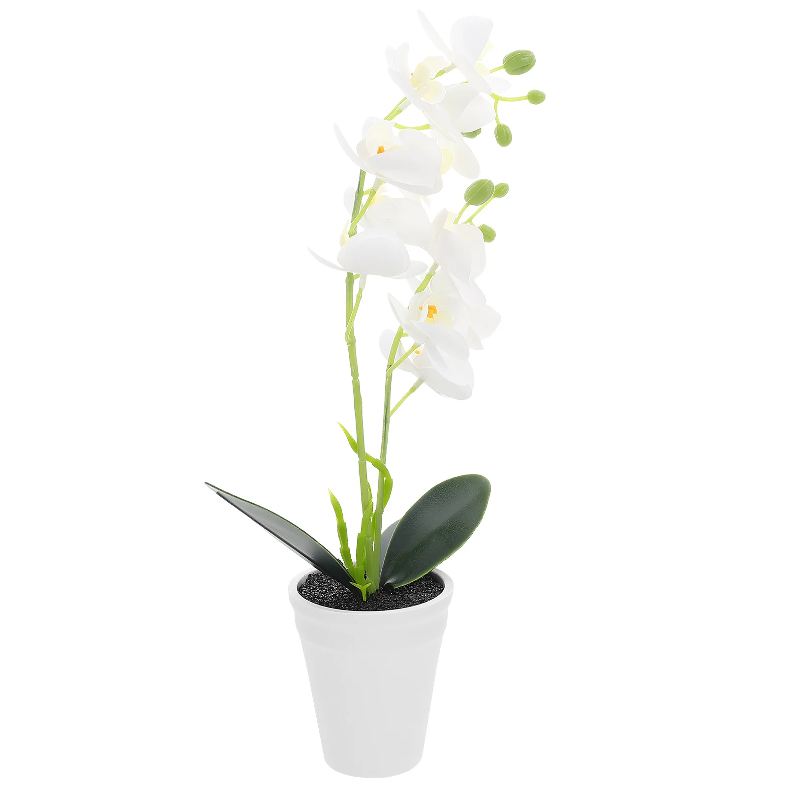 Artificial Flowers Flower Orchid Bonsai Fake Phalaenopsis Potted Plantvase Potfaux Silk Bucket Simulation Centerpiecetable Tree
Artificial Flowers Flower Orchid Bonsai Fake Phalaenopsis Potted Plantvase Potfaux Silk Bucket Simulation Centerpiecetable Tree