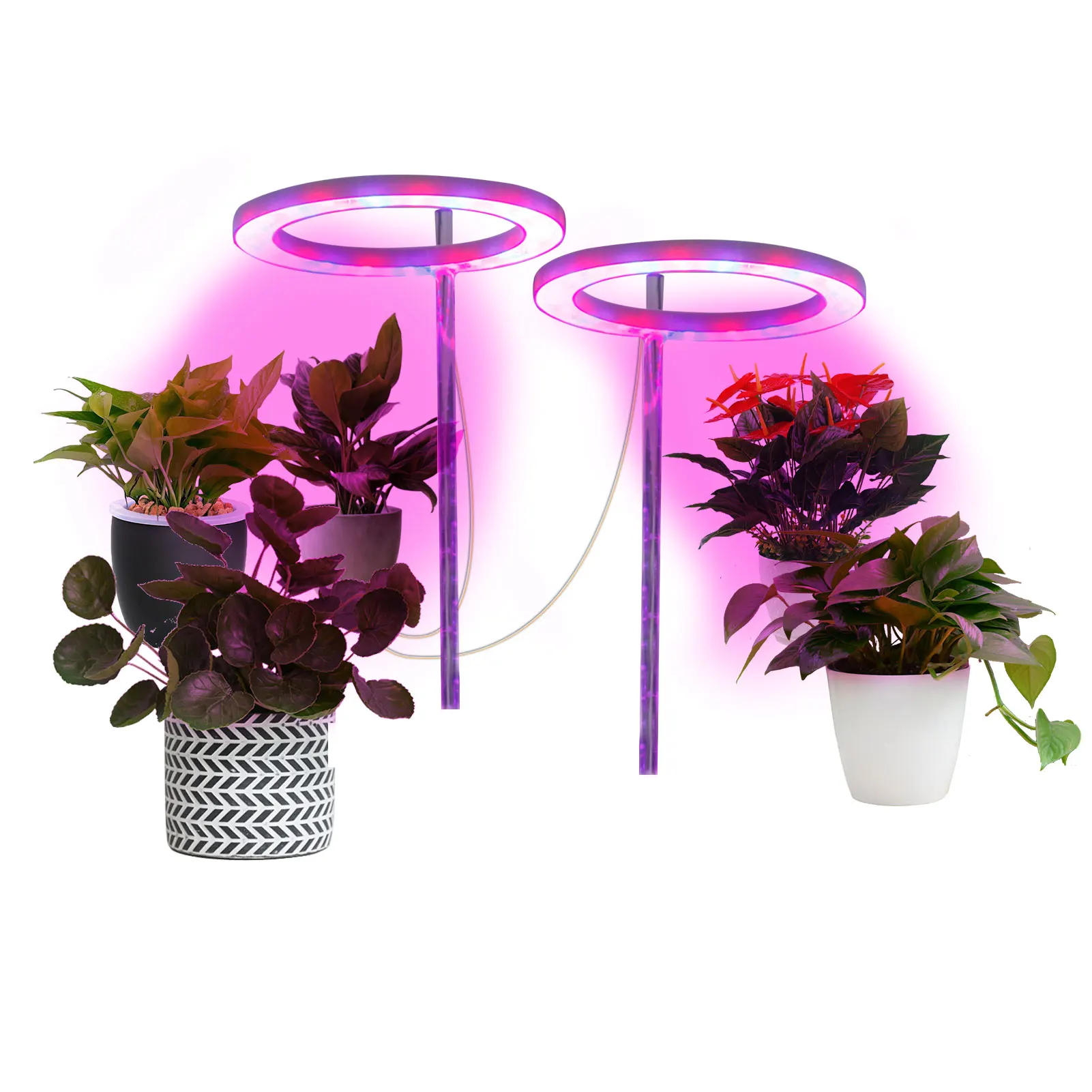 Ring LED Plant Grow Light Plant Growth Lamp Indoor Potted Plants Led Growing Lamp Succulent Desktop Hydroponics Led Growing
Ring LED Plant Grow Light Plant Growth Lamp Indoor Potted Plants Led Growing Lamp Succulent Desktop Hydroponics Led Growing