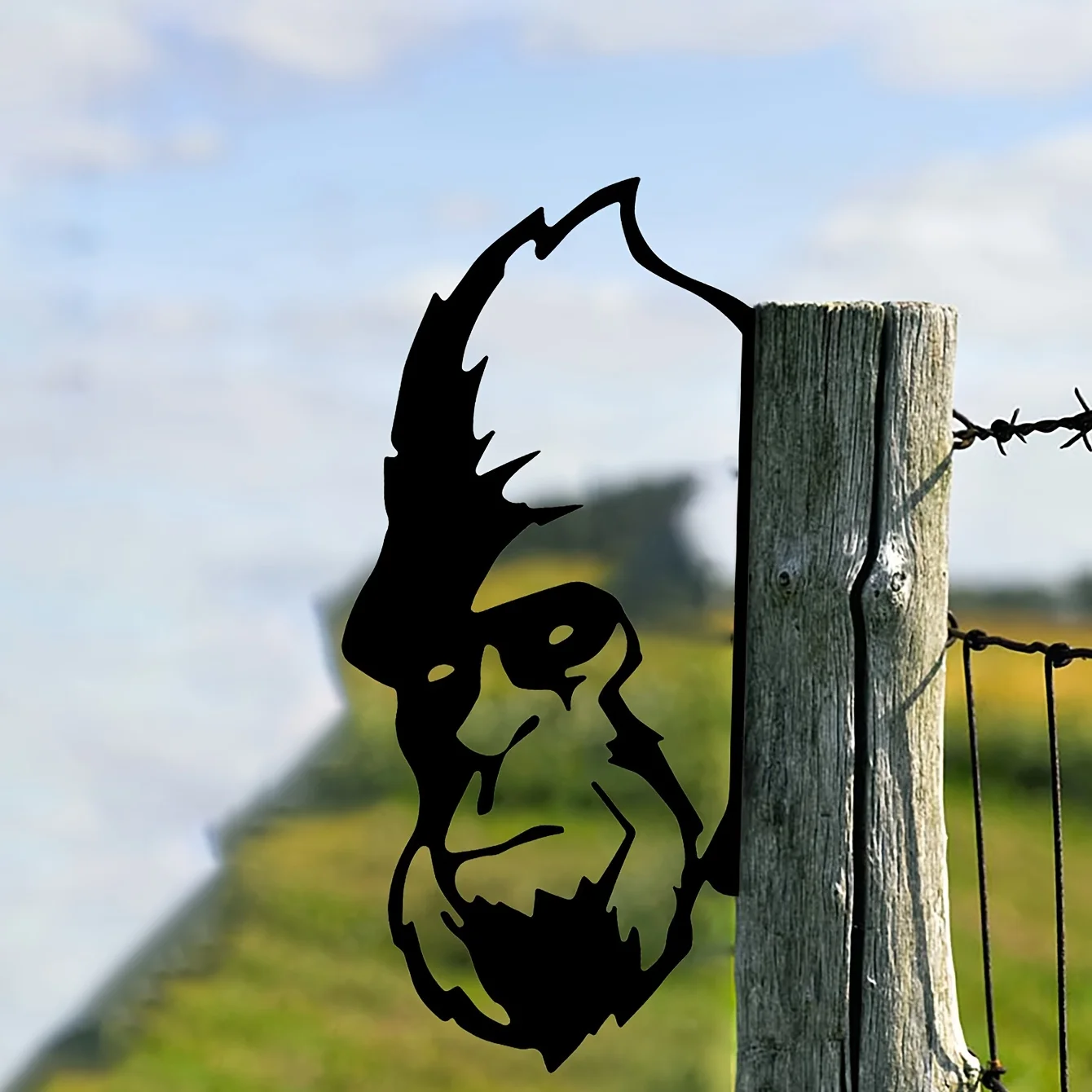 1pcc Iron Silhouette, Cute Ornament For Outdoor Garden Fence, Farm Craftwork Decor
1pcc Iron Silhouette, Cute Ornament For Outdoor Garden Fence, Farm Craftwork Decor