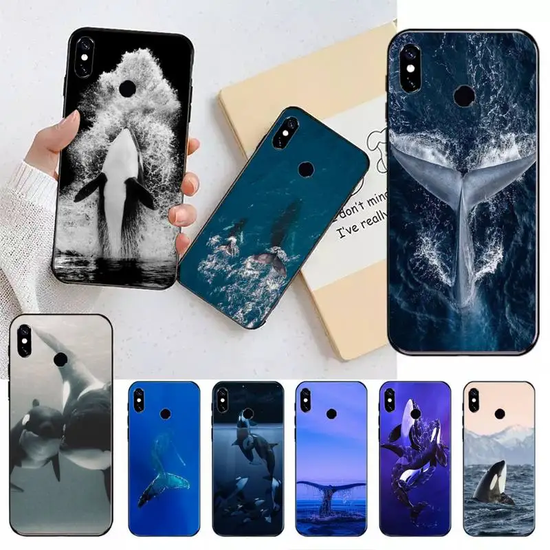 Killer Whale Orca Ocean animal Phone Case For Xiaomi Redmi note 7 8 9 11 t s 10 A pro lite funda shell coque cover 
Killer Whale Orca Ocean animal Phone Case For Xiaomi Redmi note 7 8 9 11 t s 10 A pro lite funda shell coque cover