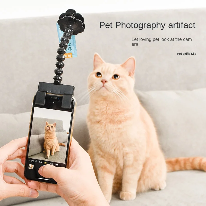 Pet Photo Accessory Cat Dog Lens Teddy Camera Toy Phone Camera Holder Selfie Clip Pet Accessories Pet Products Pet Toys
Pet Photo Accessory Cat Dog Lens Teddy Camera Toy Phone Camera Holder Selfie Clip Pet Accessories Pet Products Pet Toys