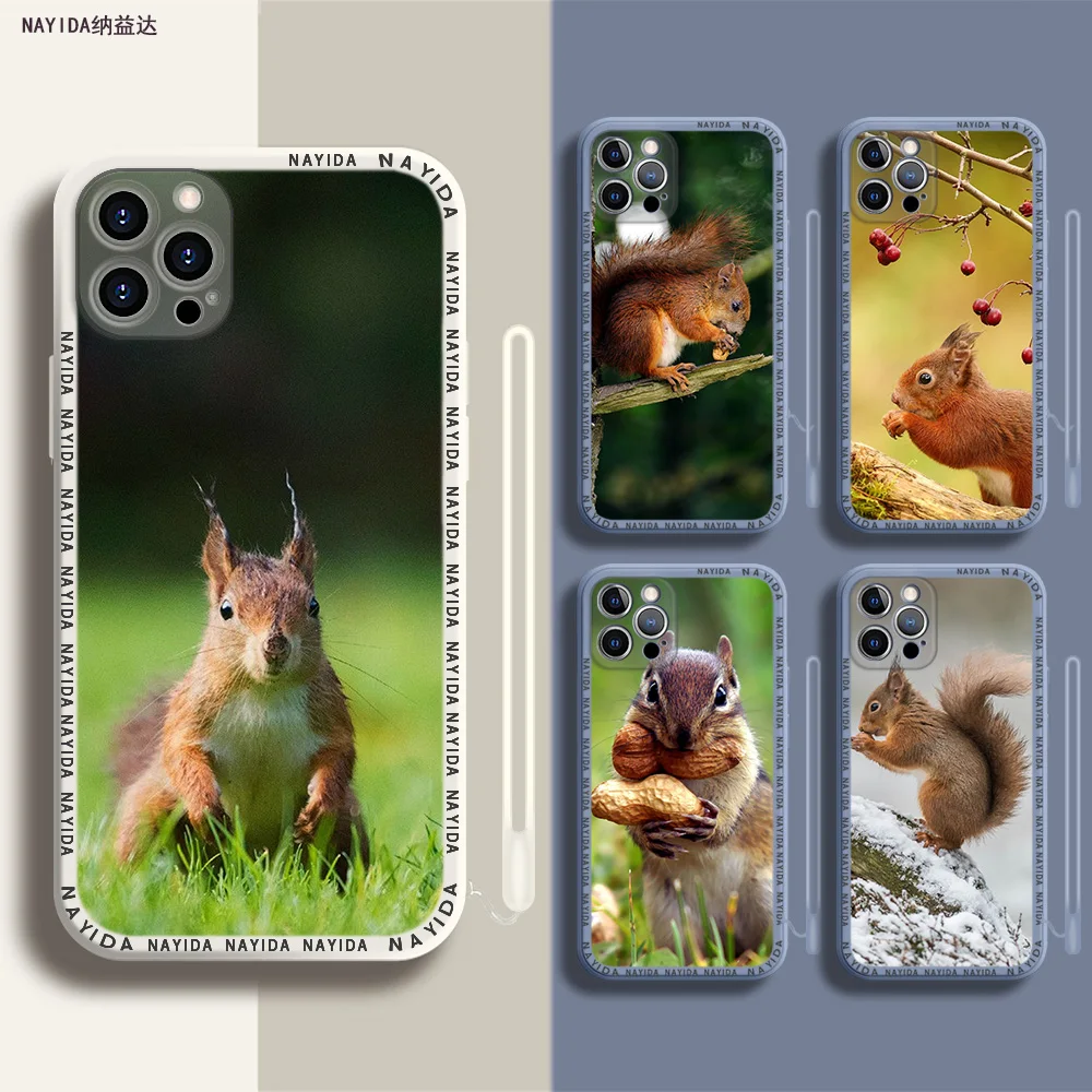 Phone Case For iPhone 14 13 11 12 Mini Pro Max XS XR X Soft Silicone TPU Cover squirrel Guinea Pig Mouse peanut
Phone Case For iPhone 14 13 11 12 Mini Pro Max XS XR X Soft Silicone TPU Cover squirrel Guinea Pig Mouse peanut