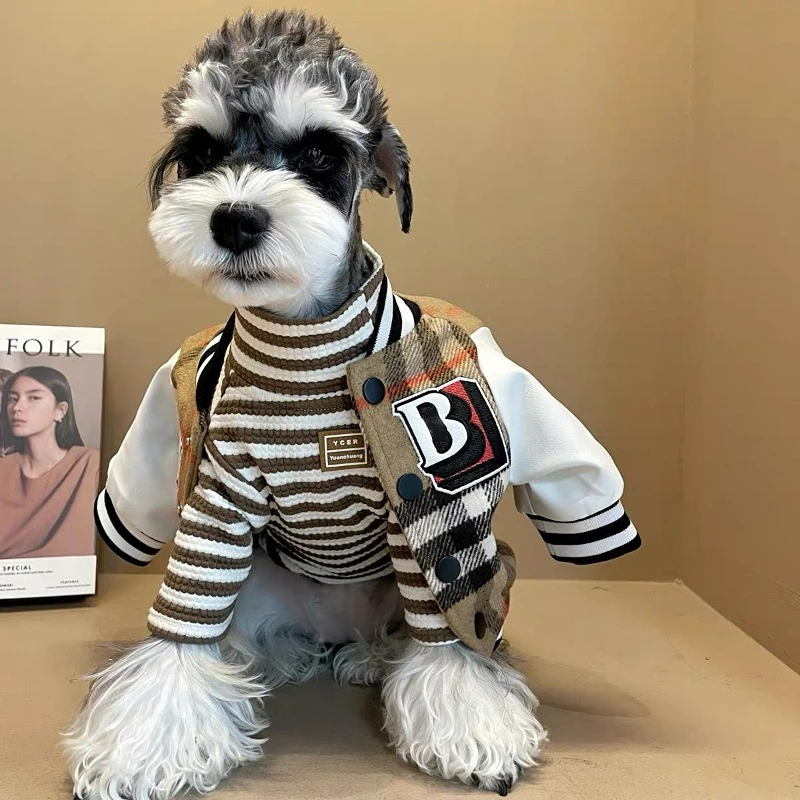 Бейсбольная Одежда для собак, кожаная байкерская куртка, модная осенне-зимняя куртка для кошек, повседневная одежда для собак, новинка 2023
Бейсбольная Одежда для собак, кожаная байкерская куртка, модная осенне-зимняя куртка для кошек, повседневная одежда для собак, новинка 2023