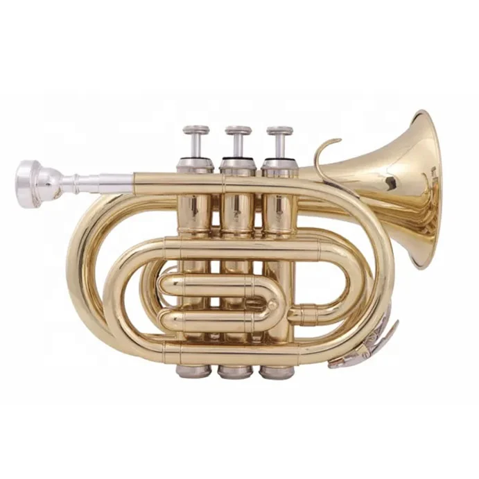 Cheaper price OEM manufacture gold lacquered student model pocket trumpet
Cheaper price OEM manufacture gold lacquered student model pocket trumpet