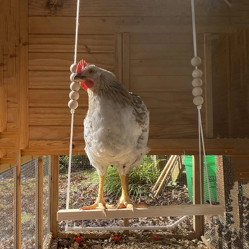 Chicken Swing Toy for Coop Natural Safe Wooden Accessories Handmade Durable Perch Ladder Birds Entertainment Stress Relief
Chicken Swing Toy for Coop Natural Safe Wooden Accessories Handmade Durable Perch Ladder Birds Entertainment Stress Relief