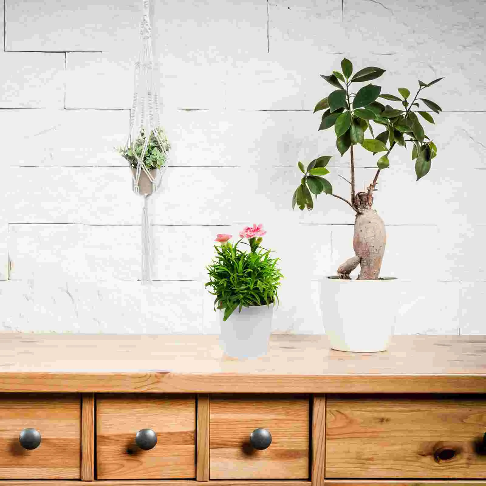 3 Pcs Hanging Flowerpot Net Bags Plant Hanger Mesh Bag Cotton Planter Hanging Nets
3 Pcs Hanging Flowerpot Net Bags Plant Hanger Mesh Bag Cotton Planter Hanging Nets