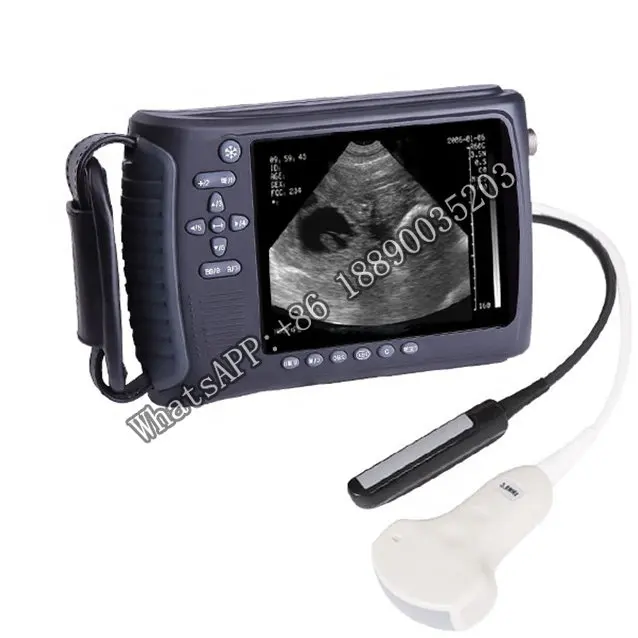 Portable Veterinary Ultrasound Devices For Bovine Equine Swine With Rectal And Convex Probe
Portable Veterinary Ultrasound Devices For Bovine Equine Swine With Rectal And Convex Probe