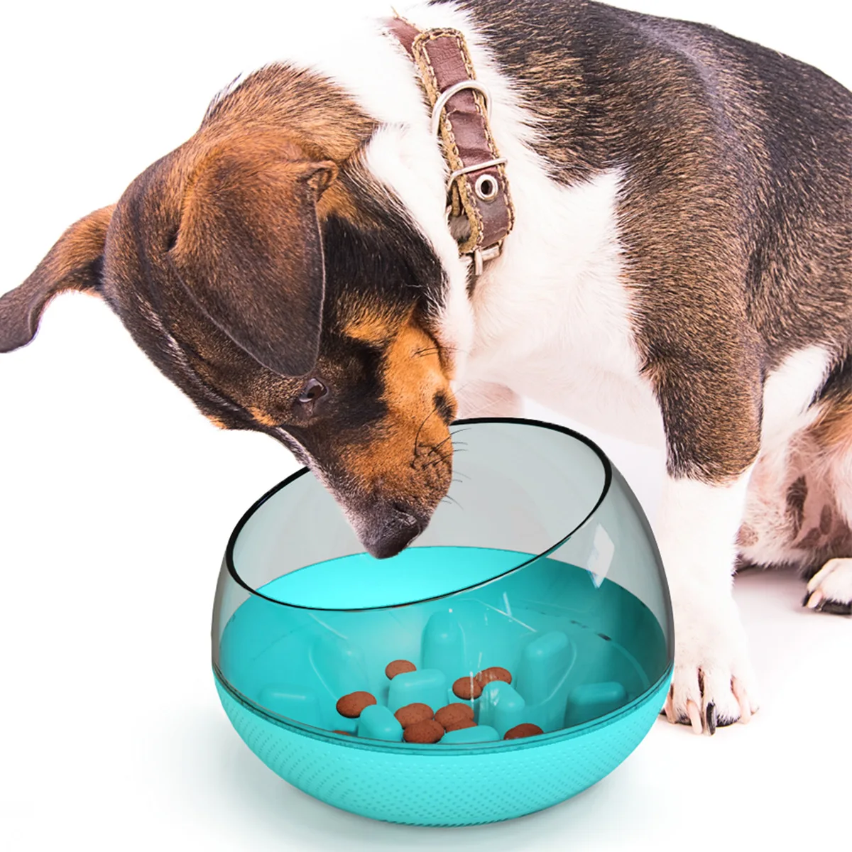 Do not prevent the dog bowl, the dog basin large dogs, dog rice bowls, pets, pet bowls.
Do not prevent the dog bowl, the dog basin large dogs, dog rice bowls, pets, pet bowls.