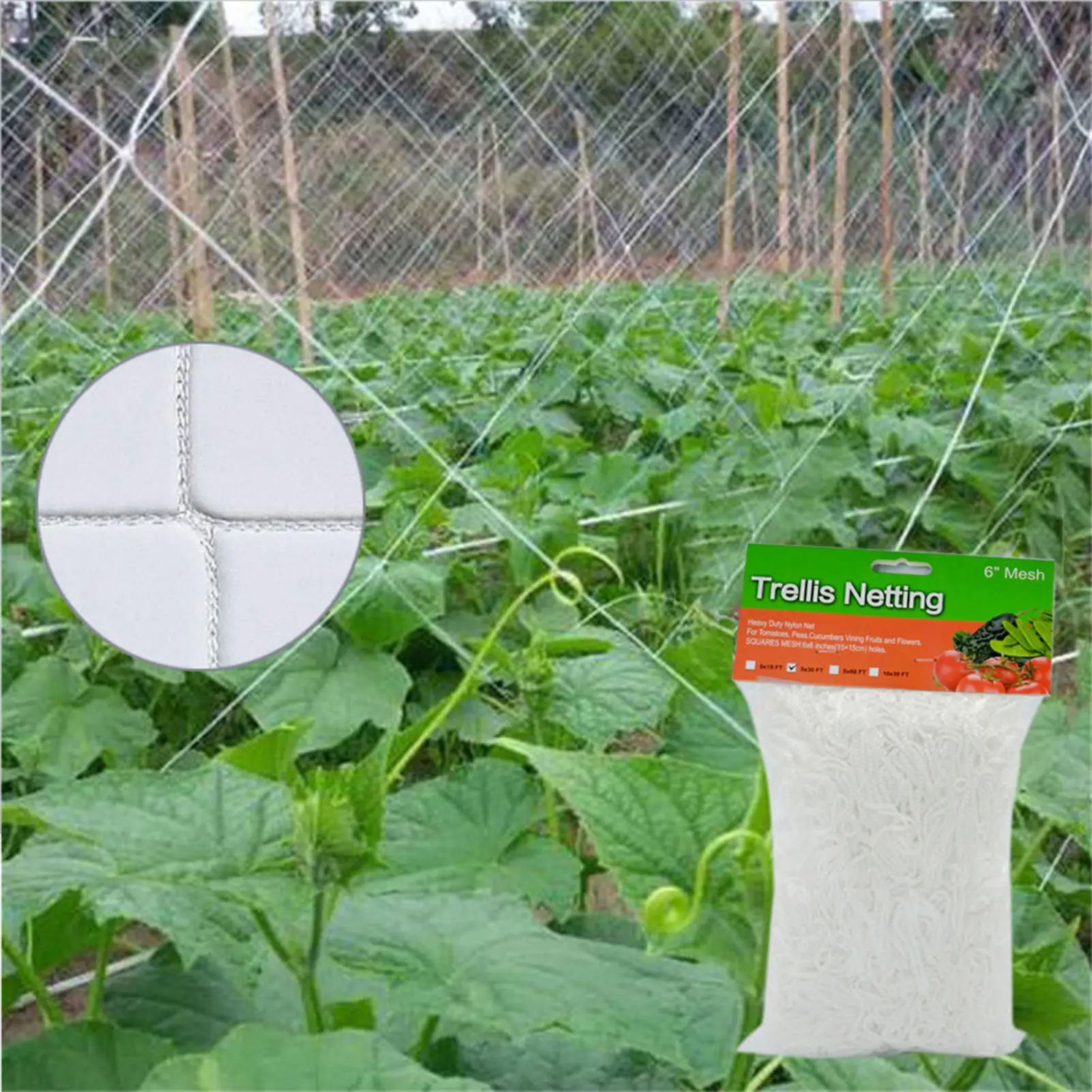 Heavy Duty Plant Trelli Netting Vine Climbing Gr-ow Support Net Plant Trellis Net For Climbing Plants Garden Net
Heavy Duty Plant Trelli Netting Vine Climbing Gr-ow Support Net Plant Trellis Net For Climbing Plants Garden Net