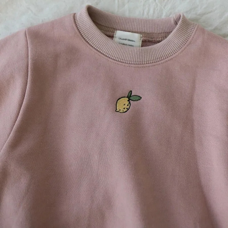 Baby Bodysuits Spring Infants Cute Romper Cotton Long Sleeve Girls Boys Onepiece Fruit Embroidery Children Clothing
Baby Bodysuits Spring Infants Cute Romper Cotton Long Sleeve Girls Boys Onepiece Fruit Embroidery Children Clothing