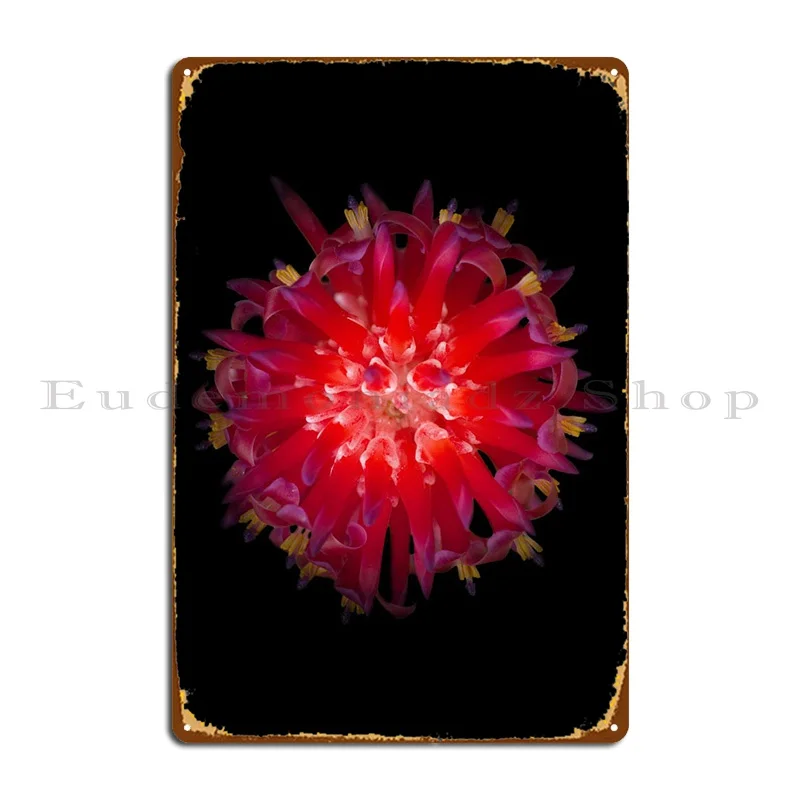 Bromeliad · Dark Version Metal Signs Garage Decoration Garage Wall Decor Tin Sign Poster
Bromeliad · Dark Version Metal Signs Garage Decoration Garage Wall Decor Tin Sign Poster
