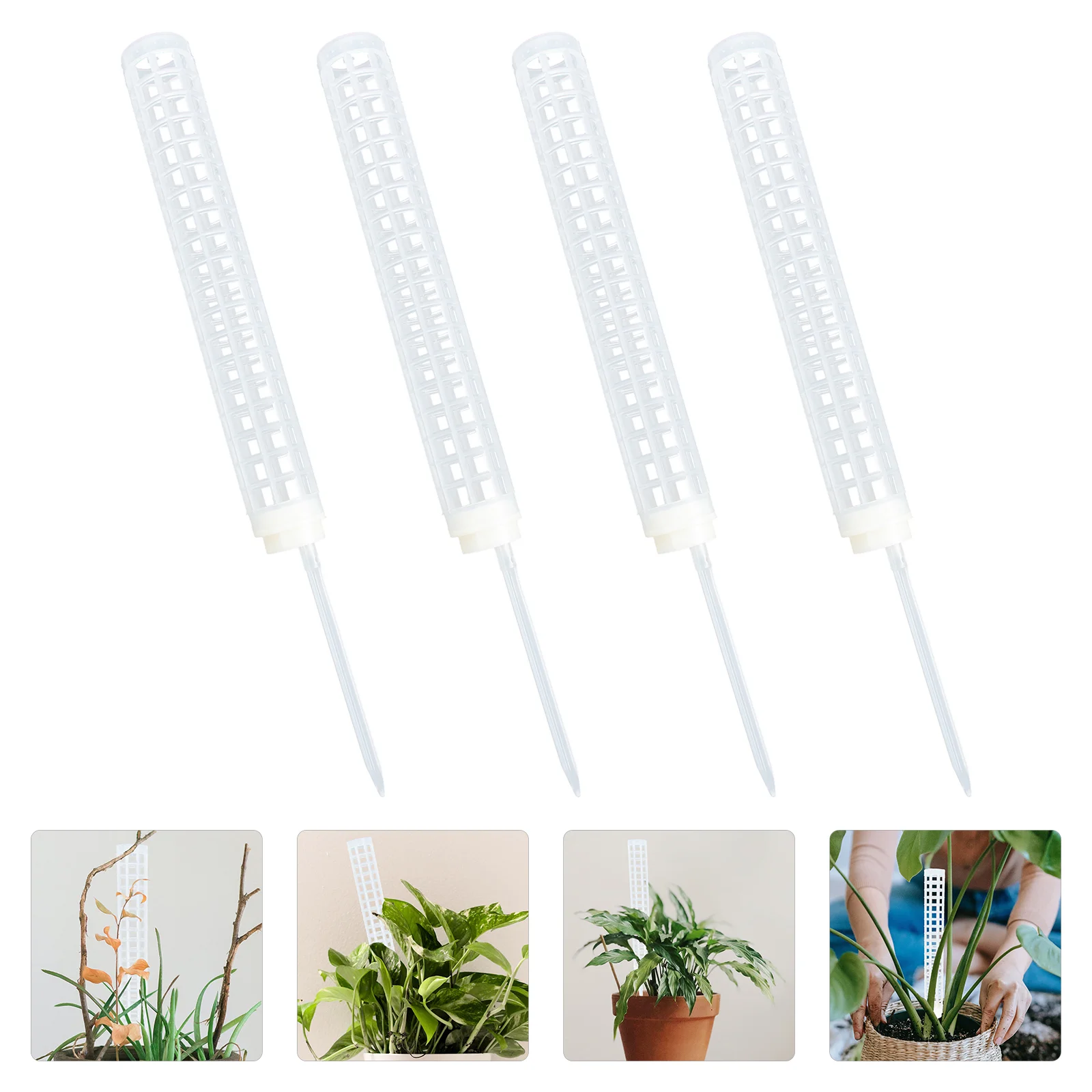 Pole Climbing Column Support Monstera Vine Stick Stands Garden Coir Potted Rack Totem Poles Trellis Sphagnum Sticks Self
Pole Climbing Column Support Monstera Vine Stick Stands Garden Coir Potted Rack Totem Poles Trellis Sphagnum Sticks Self