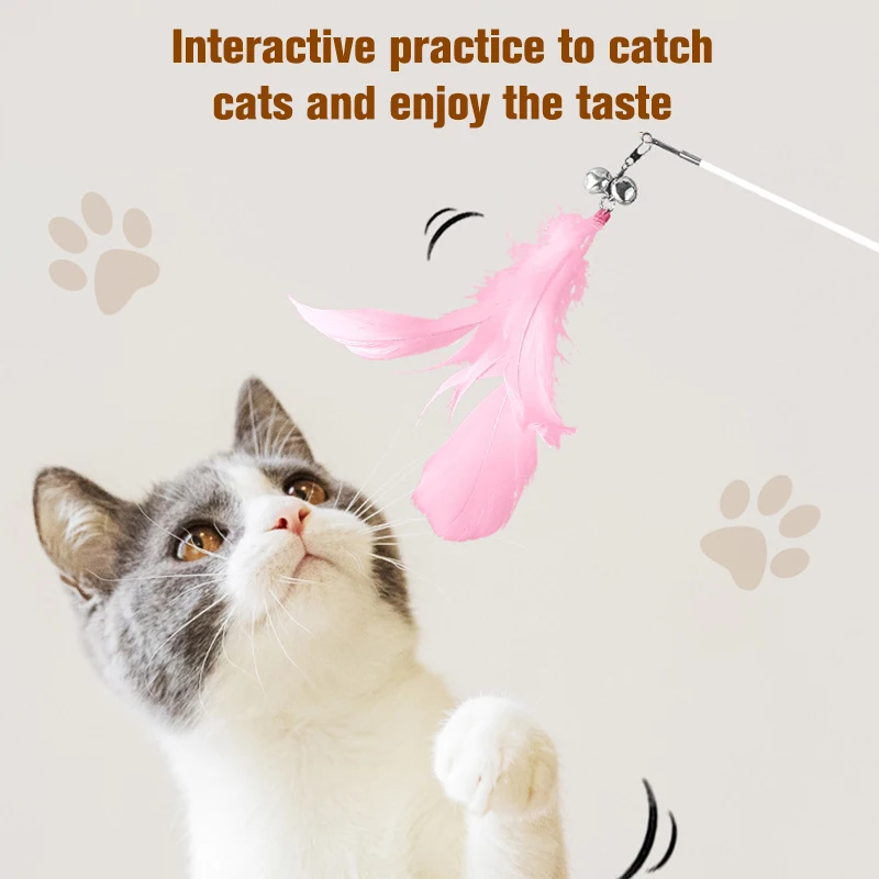 Feather Stick Cat Solid Wood Feather Teaser Wands Interactive Retractable Fishing Pole Wand
Feather Stick Cat Solid Wood Feather Teaser Wands Interactive Retractable Fishing Pole Wand