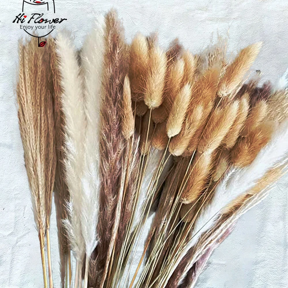 100Pcs Dried Flower Natural Pampas Grass Bouquet Wedding Christmas Decoration Bunny Rabbit Tail Artifical Flower Boho Home Decor
100Pcs Dried Flower Natural Pampas Grass Bouquet Wedding Christmas Decoration Bunny Rabbit Tail Artifical Flower Boho Home Decor
