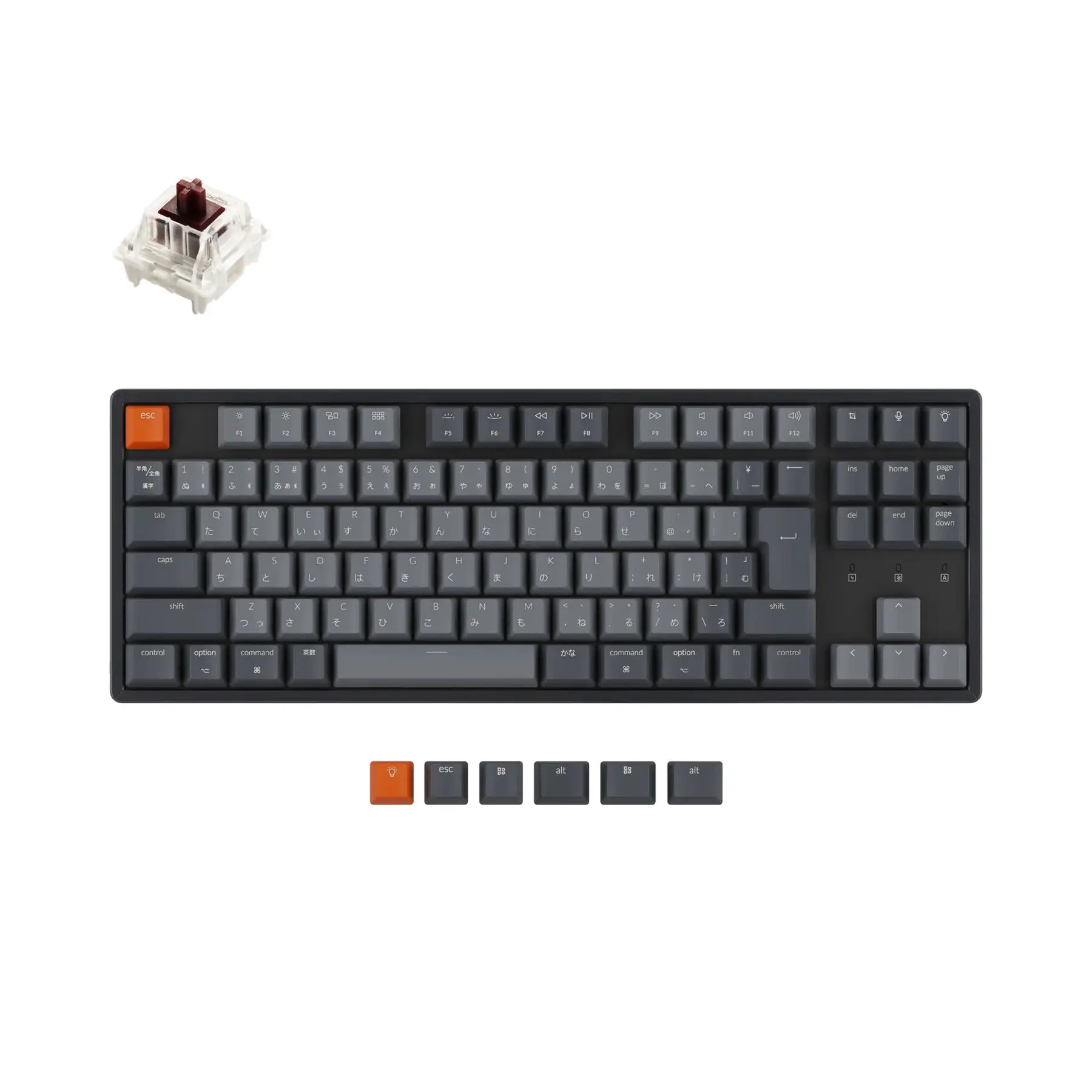 Keychron K8 C Japan JIS Layout Tenkeyless Wireless Mechanical Keyboard RGB Backlight Aluminum Frame Gateron G Pro Switch
Keychron K8 C Japan JIS Layout Tenkeyless Wireless Mechanical Keyboard RGB Backlight Aluminum Frame Gateron G Pro Switch